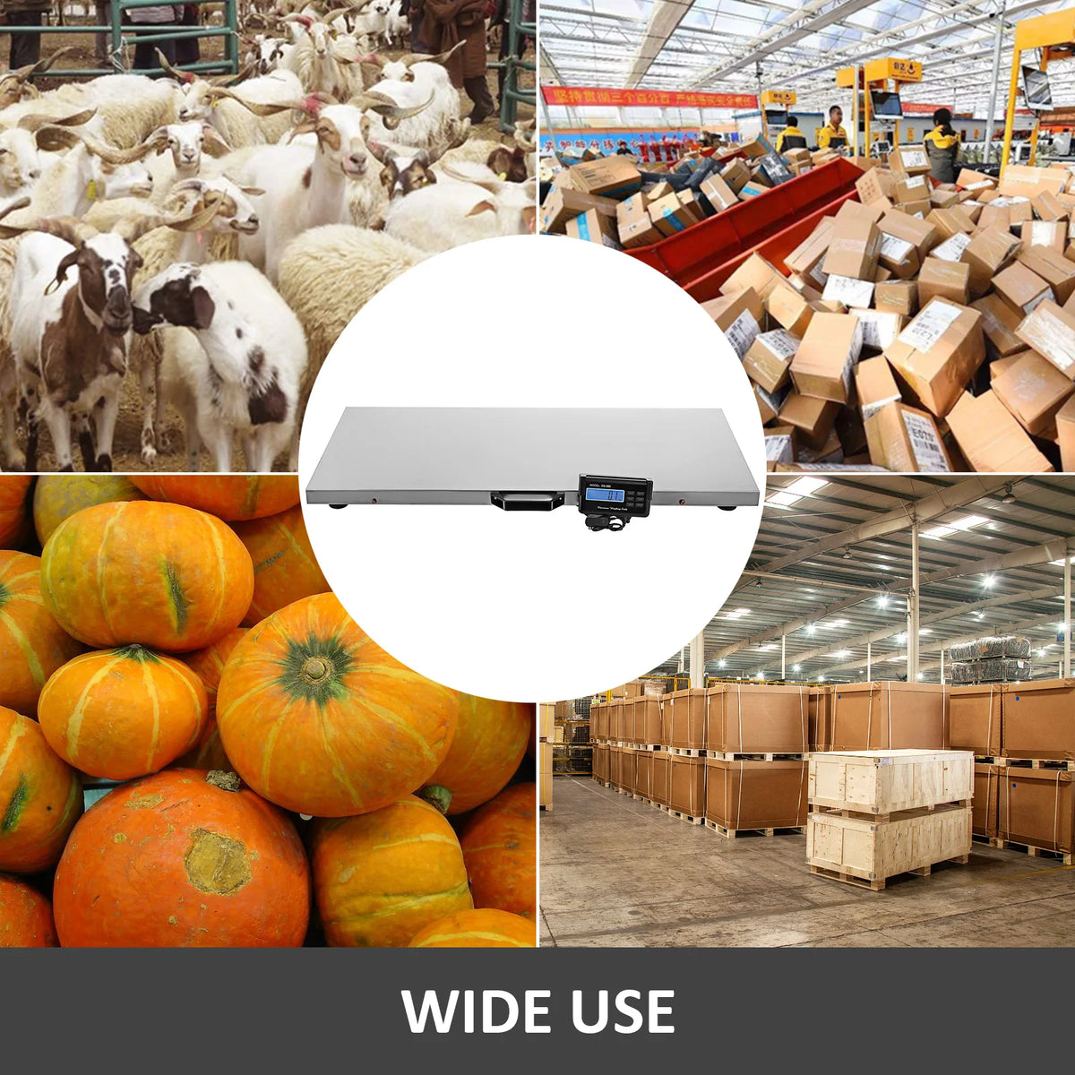 Heavy Duty Digital Livestock Weighing Scale With Stainless Steel Platform