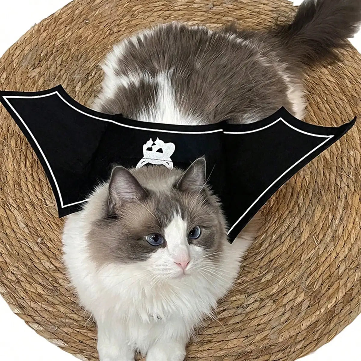 Halloween Bat Wings Costume For Cats And Dogs Party Accessory