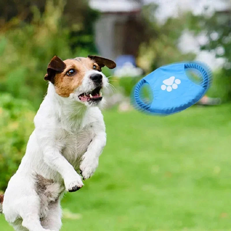 Durable Interactive Dog Fetch Toy For Tug And Chew Play