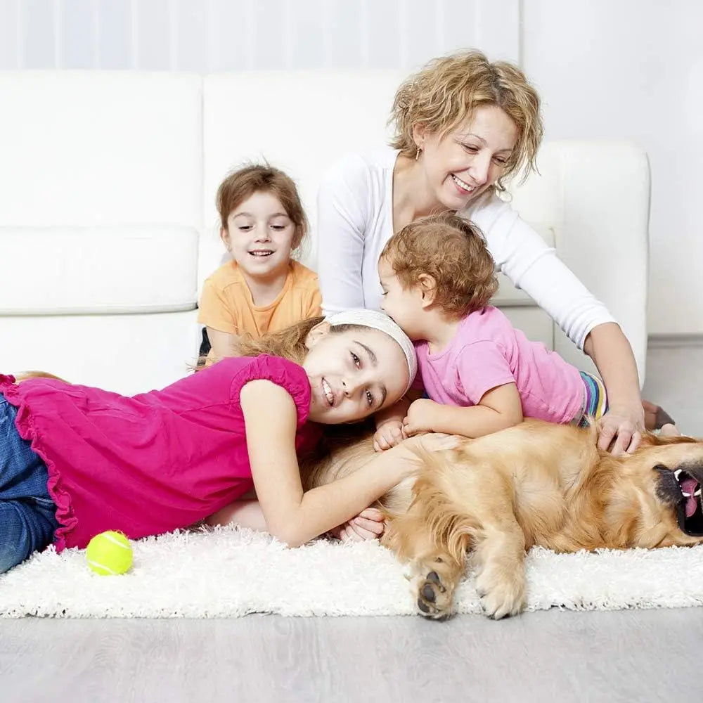 Portable Metal Pet Playpen for Dogs, Puppies and Cats Indoor Outdoor Use