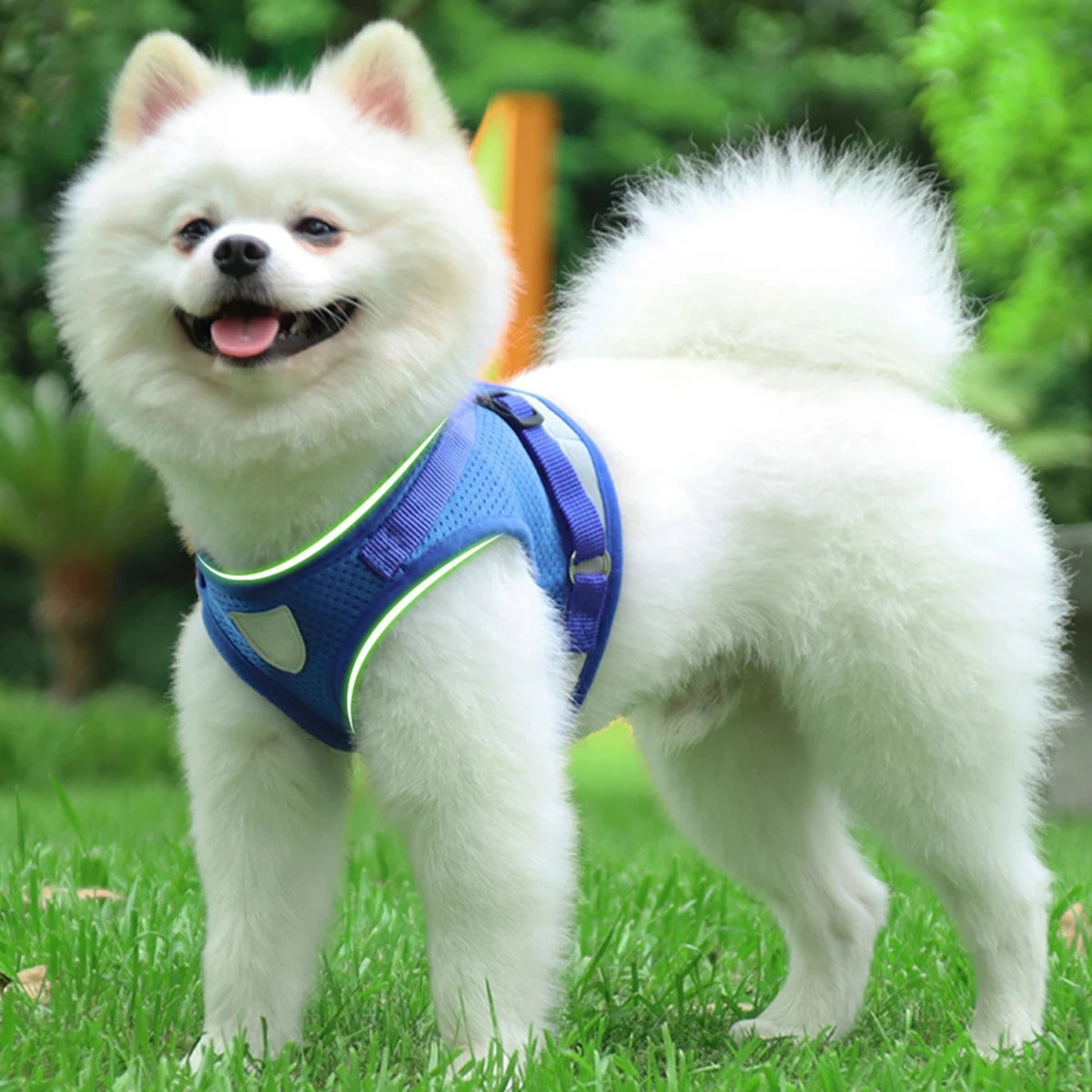 Reflective Adjustable Mesh Dog Harness Vest With Safety Leash Set