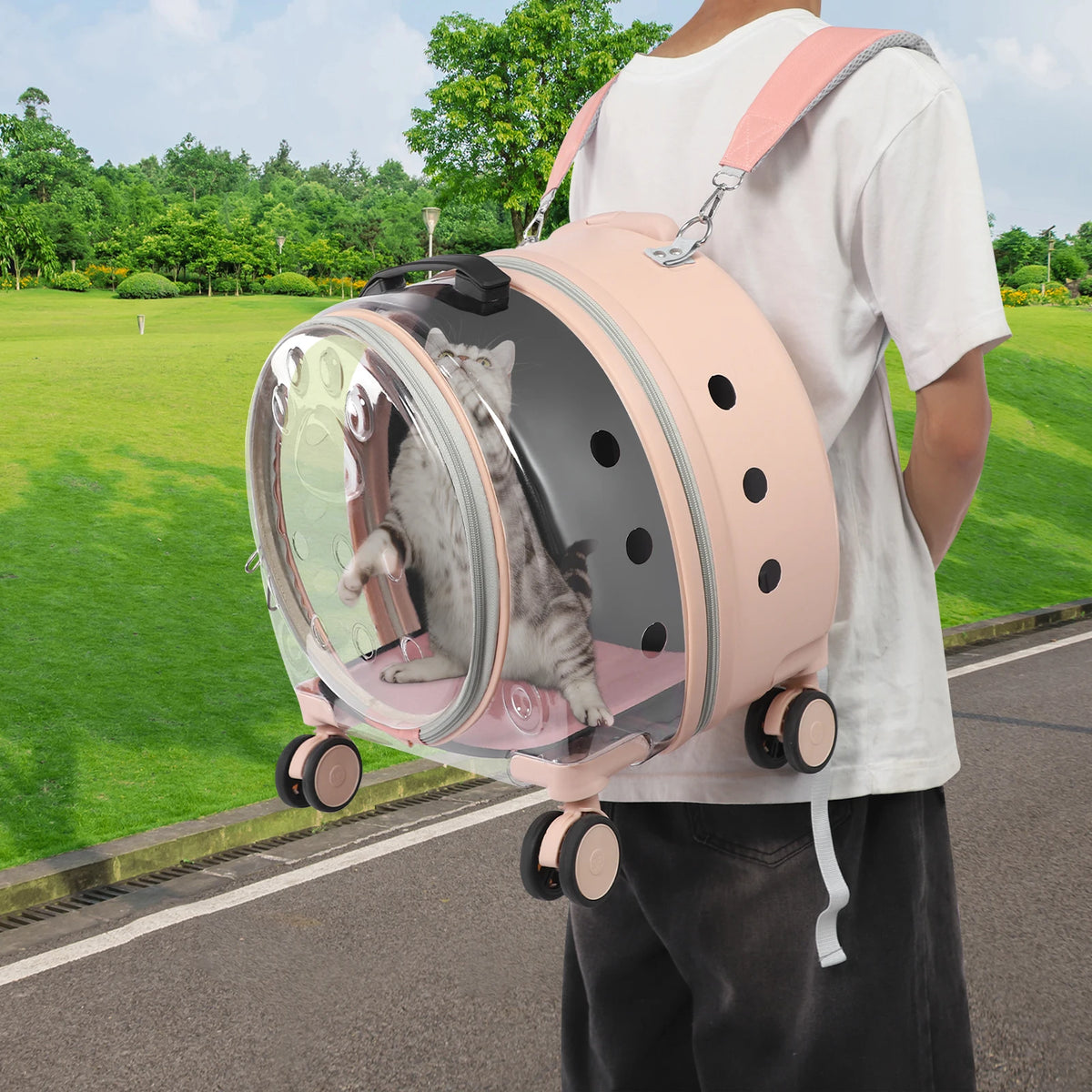Transparent Pet Carrier Trolley With Four Wheels And Retractable Handle