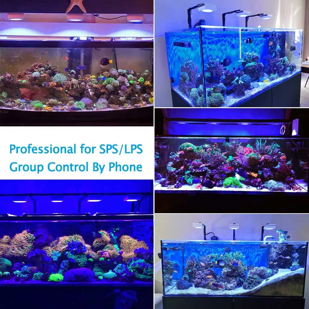 PopBloom WiFi Full Spectrum LED Reef Aquarium Light for Coral