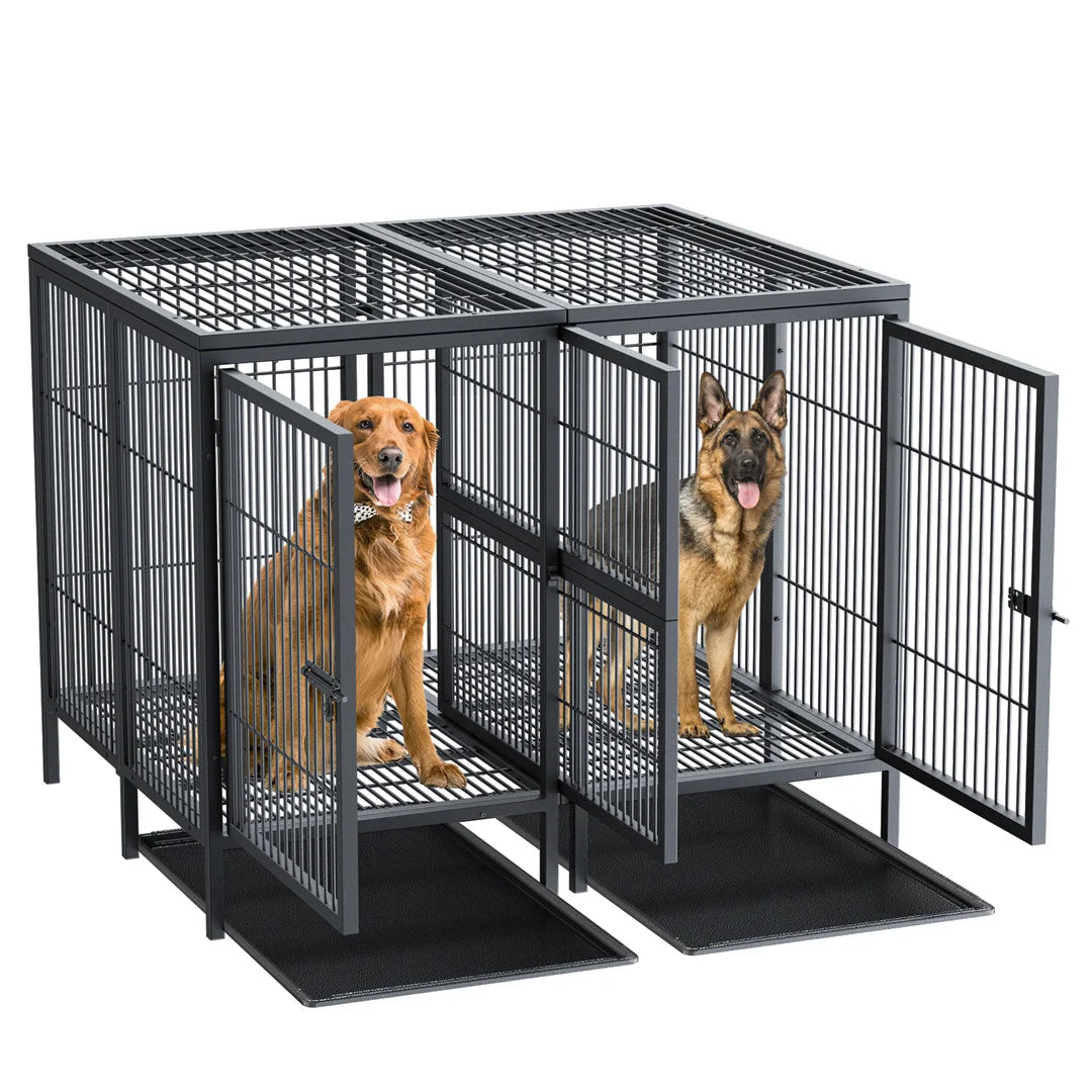 BINGOPAW Heavy Duty Metal Double Dog Crate With Removable Divider