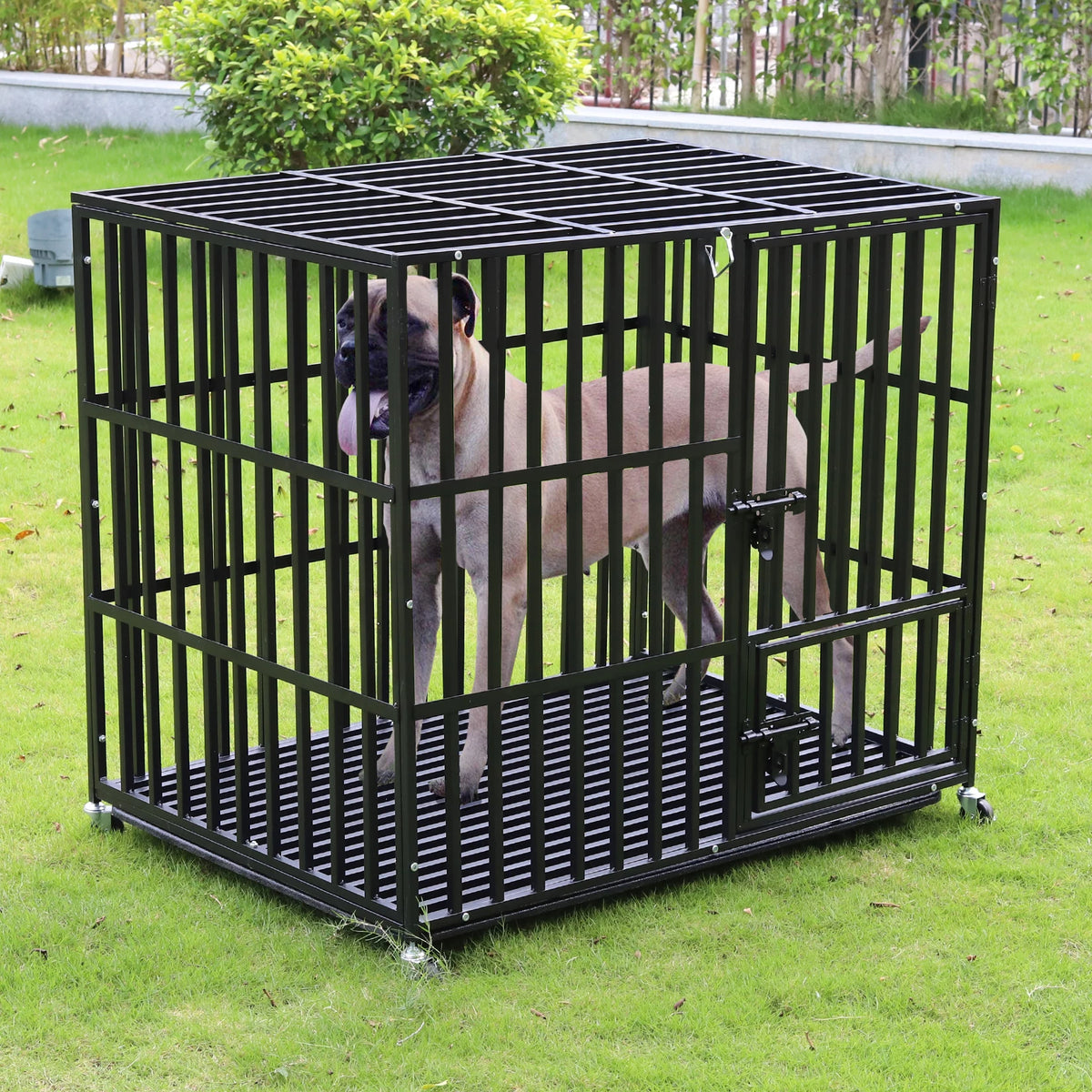 Borwart Heavy Duty Metal Dog Crate With Wheels And Tray