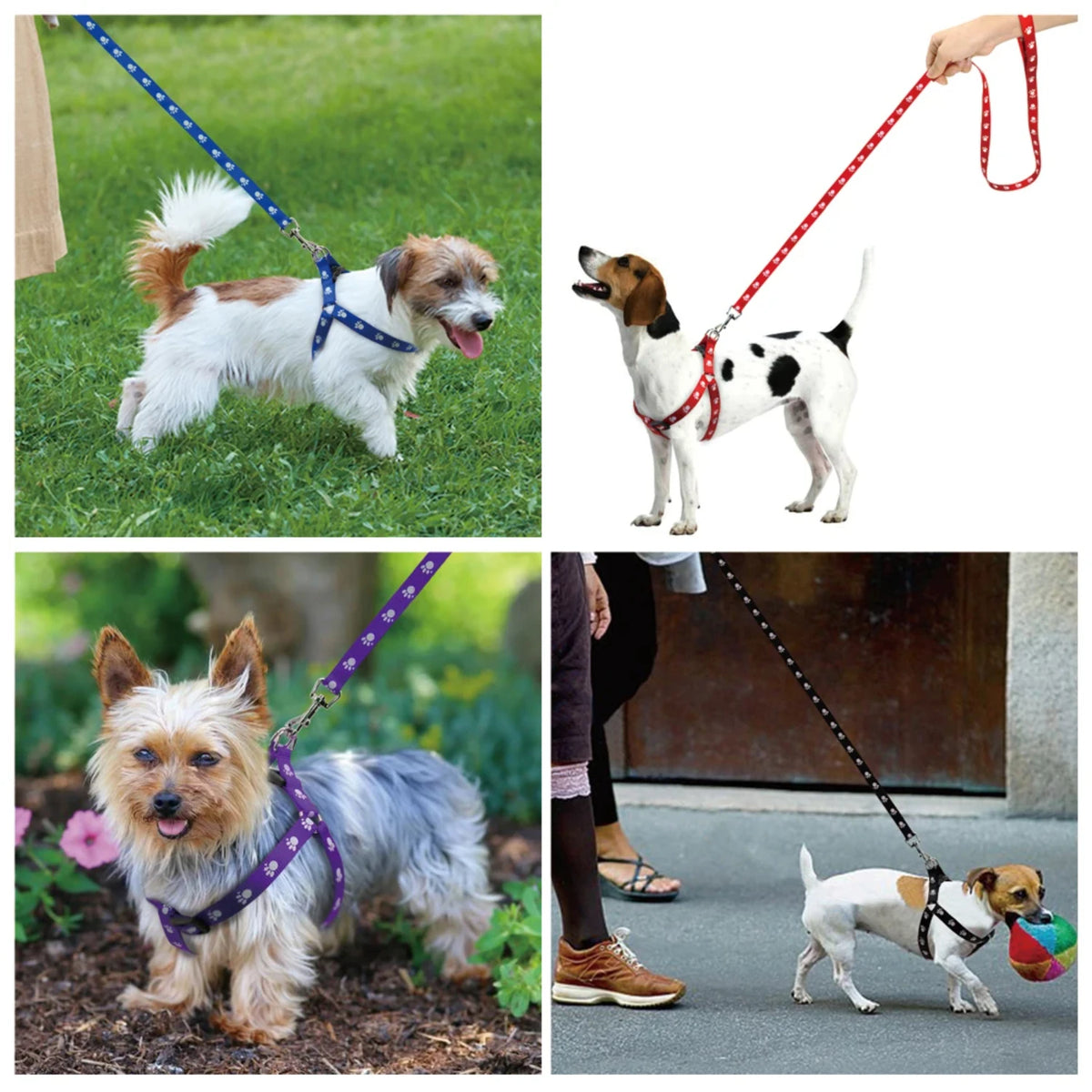 Adjustable Paw Print Nylon Dog Harness and Leash Set