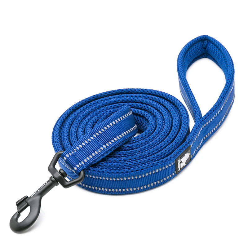 Winhyepet Reflective Padded Handle Dog Training Leash