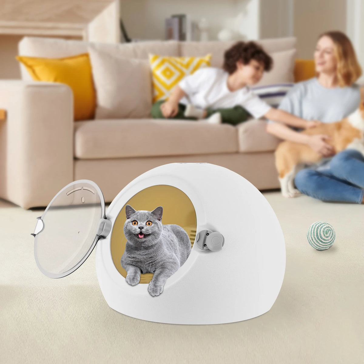 Portable 600W Pet Grooming Dryer Machine For Cats And Dogs