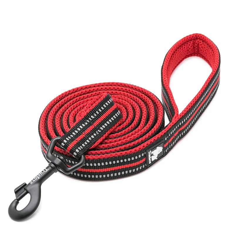 Winhyepet Reflective Padded Handle Dog Training Leash