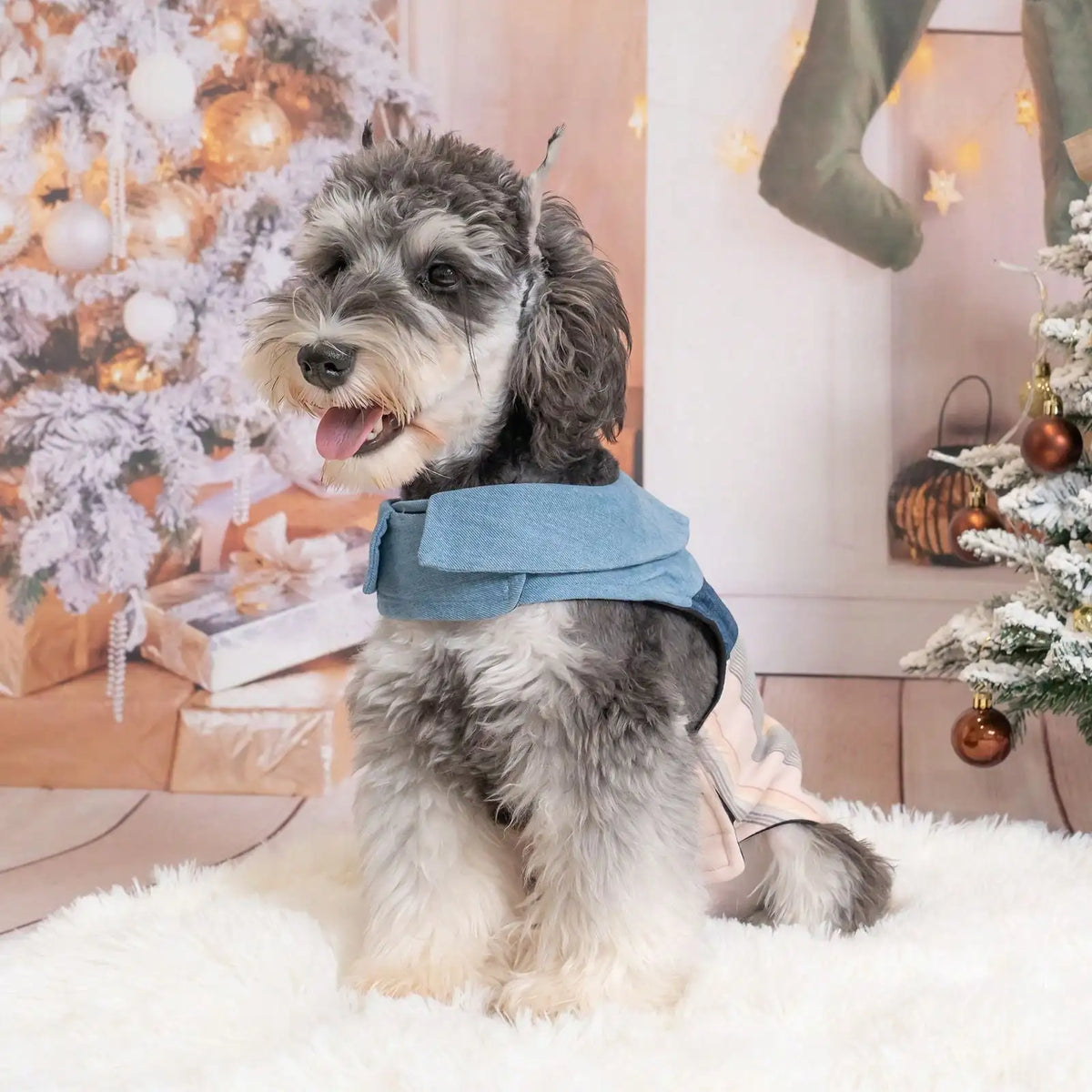 Pet Denim Collar Vest for Dogs and Cats Lightweight Outfit