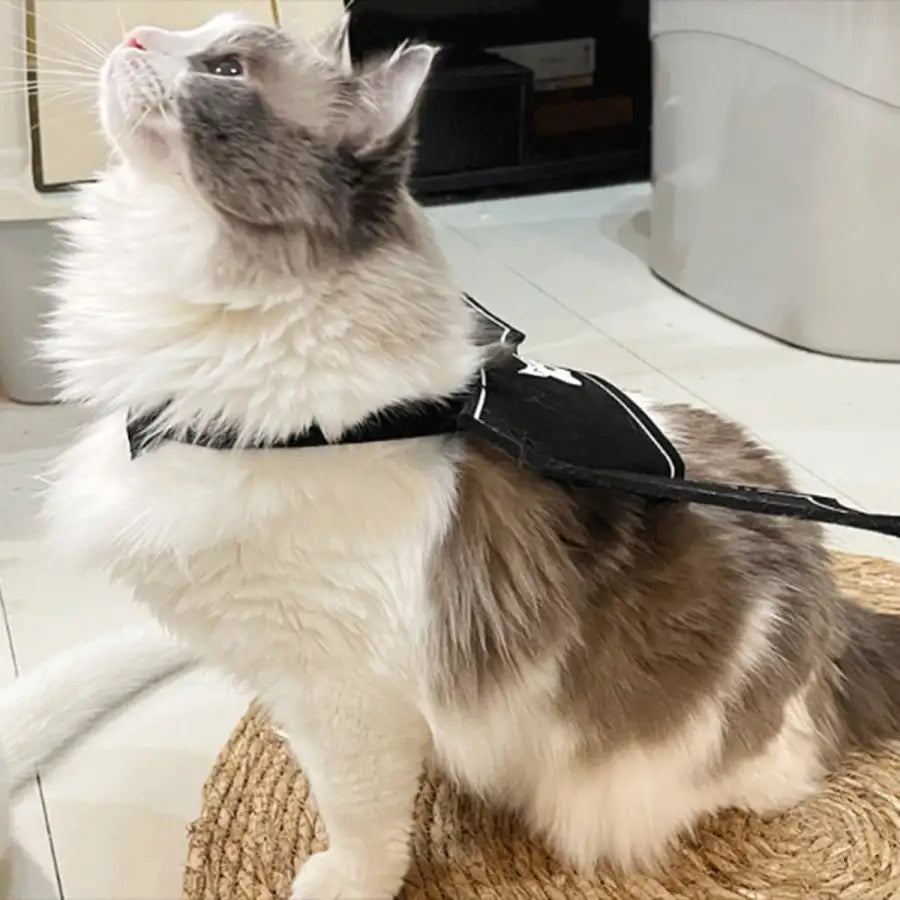 Halloween Bat Wings Costume For Cats And Dogs Party Accessory