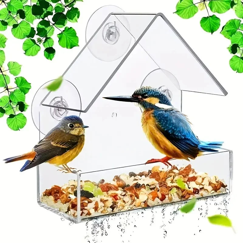 Transparent Acrylic Window Bird Feeder With Strong Suction Cups