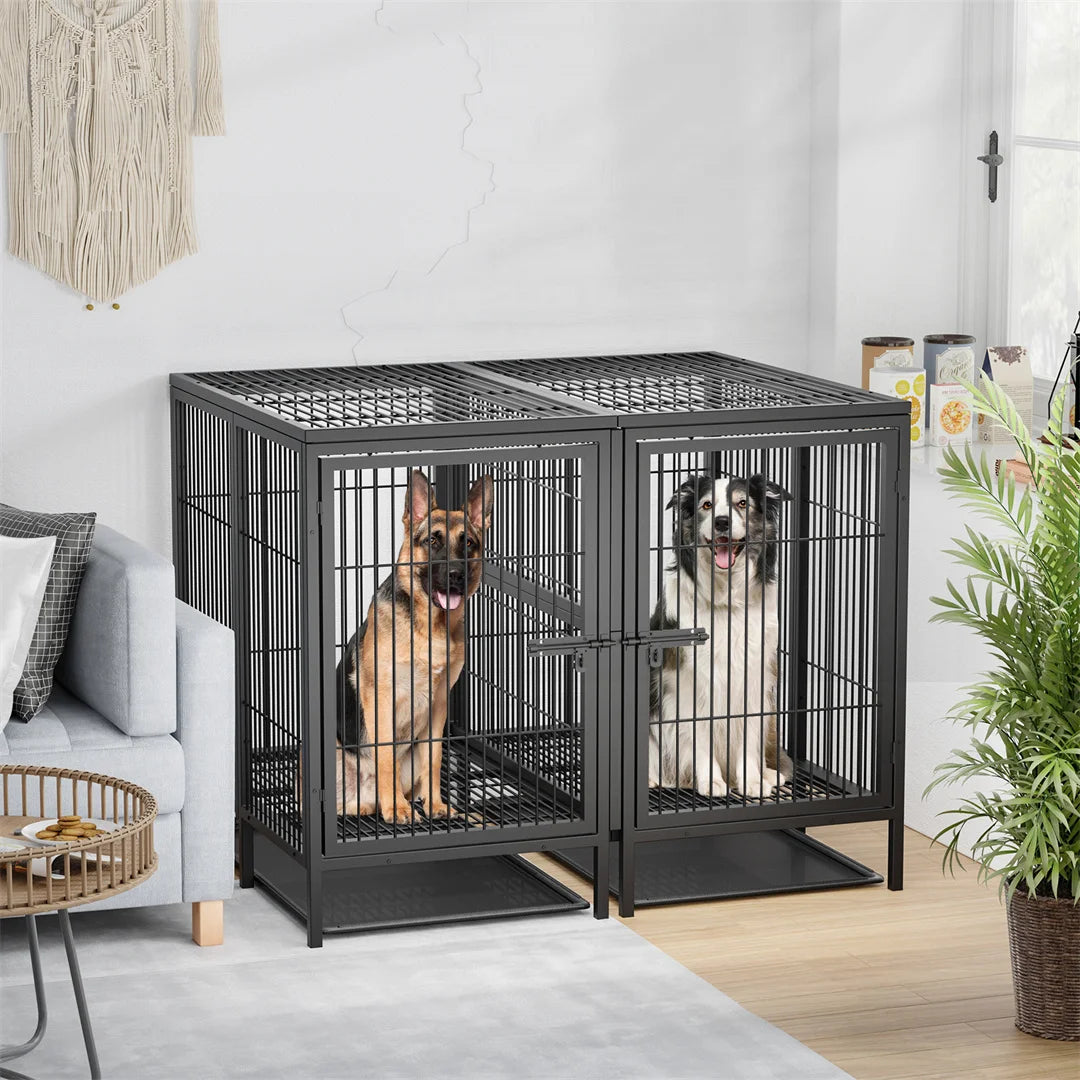 BINGOPAW Heavy Duty Metal Double Dog Crate With Removable Divider
