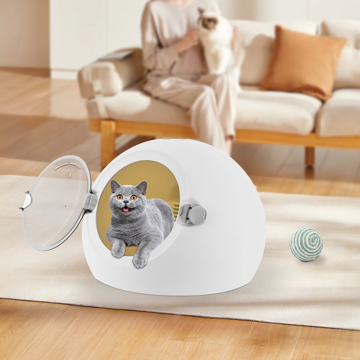 Portable 600W Pet Grooming Dryer Machine For Cats And Dogs