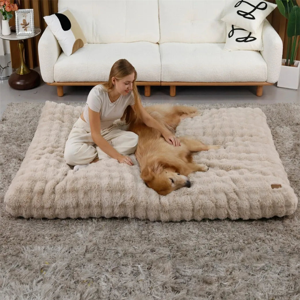 BORWART Ultra Plush Washable Dog Bed With Removable Soft Cushion
