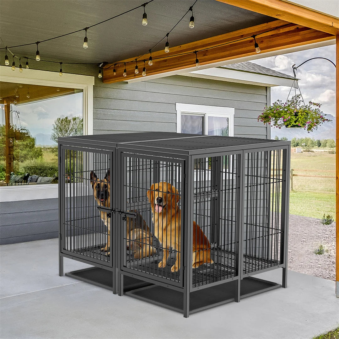 BINGOPAW Heavy Duty Metal Double Dog Crate With Removable Divider