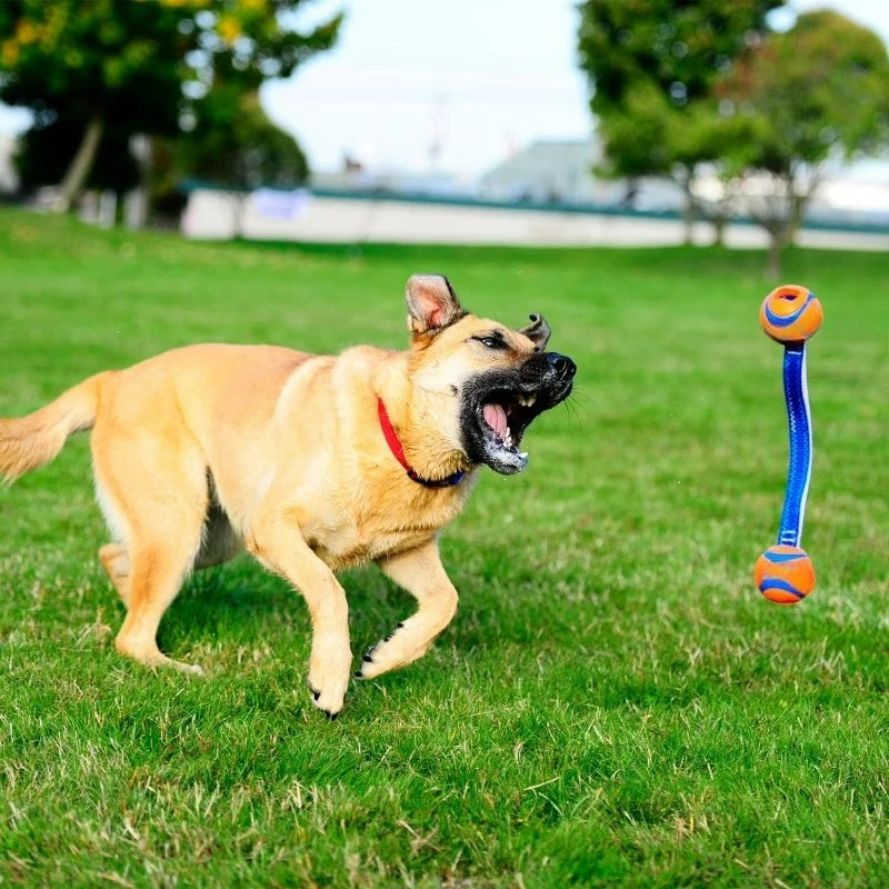 Indoor Outdoor Rope Fetch Dog Toy Durable Tug Play Accessory