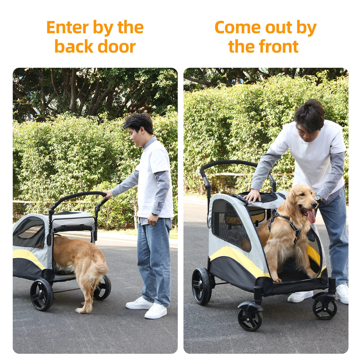 BINGOPAW Foldable Four Wheel Pet Stroller Carrier for Two Dogs