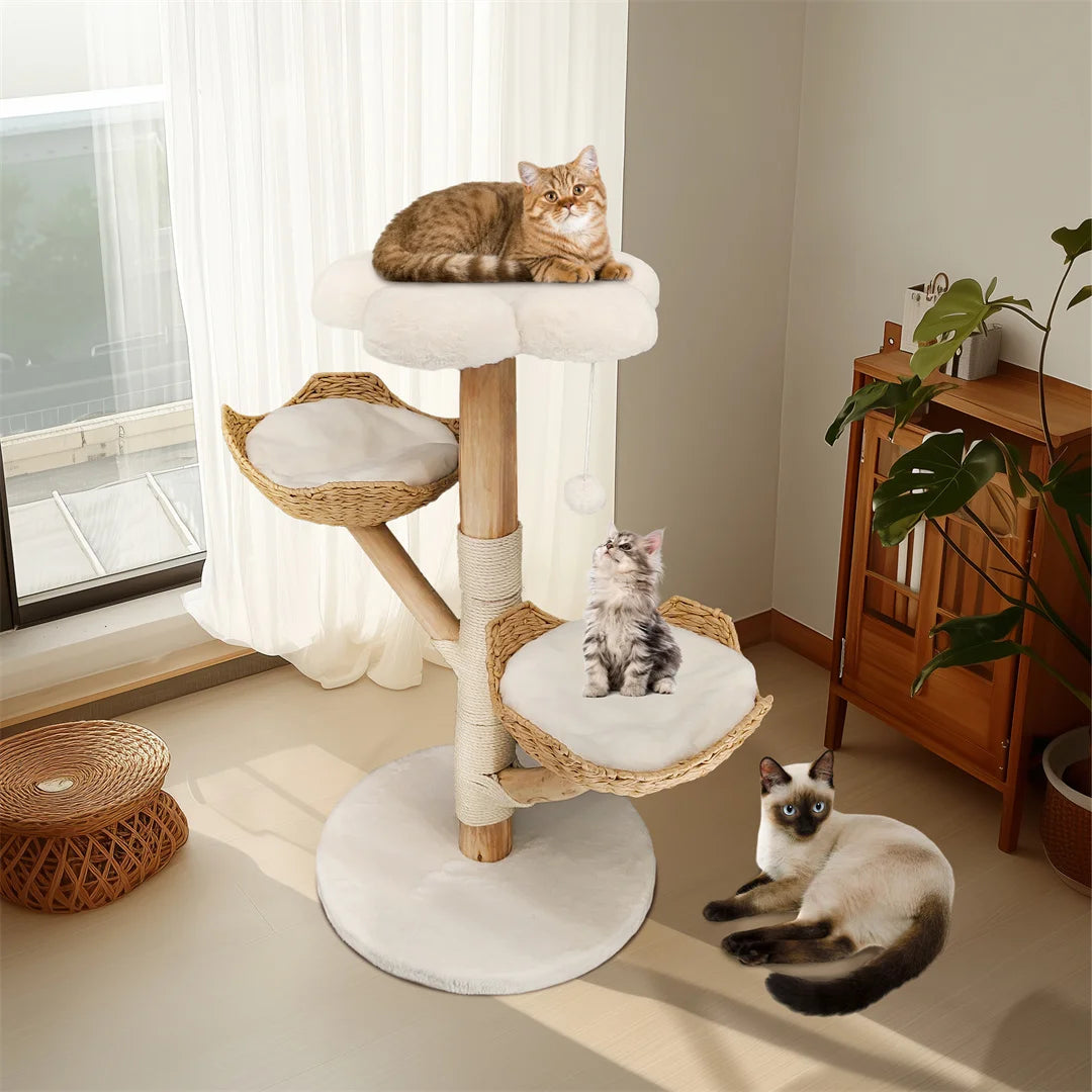 BINGOPAW Modern Wood Cat Climbing Tree With Scratching Post