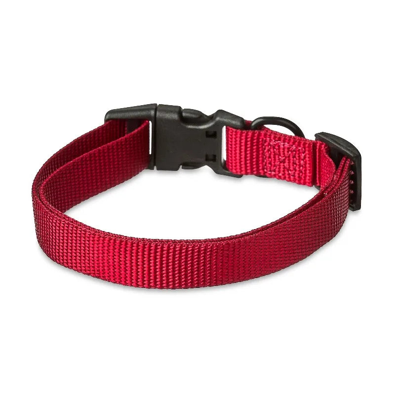 Adjustable Polyester Dog Collar For Reliable Everyday Wear