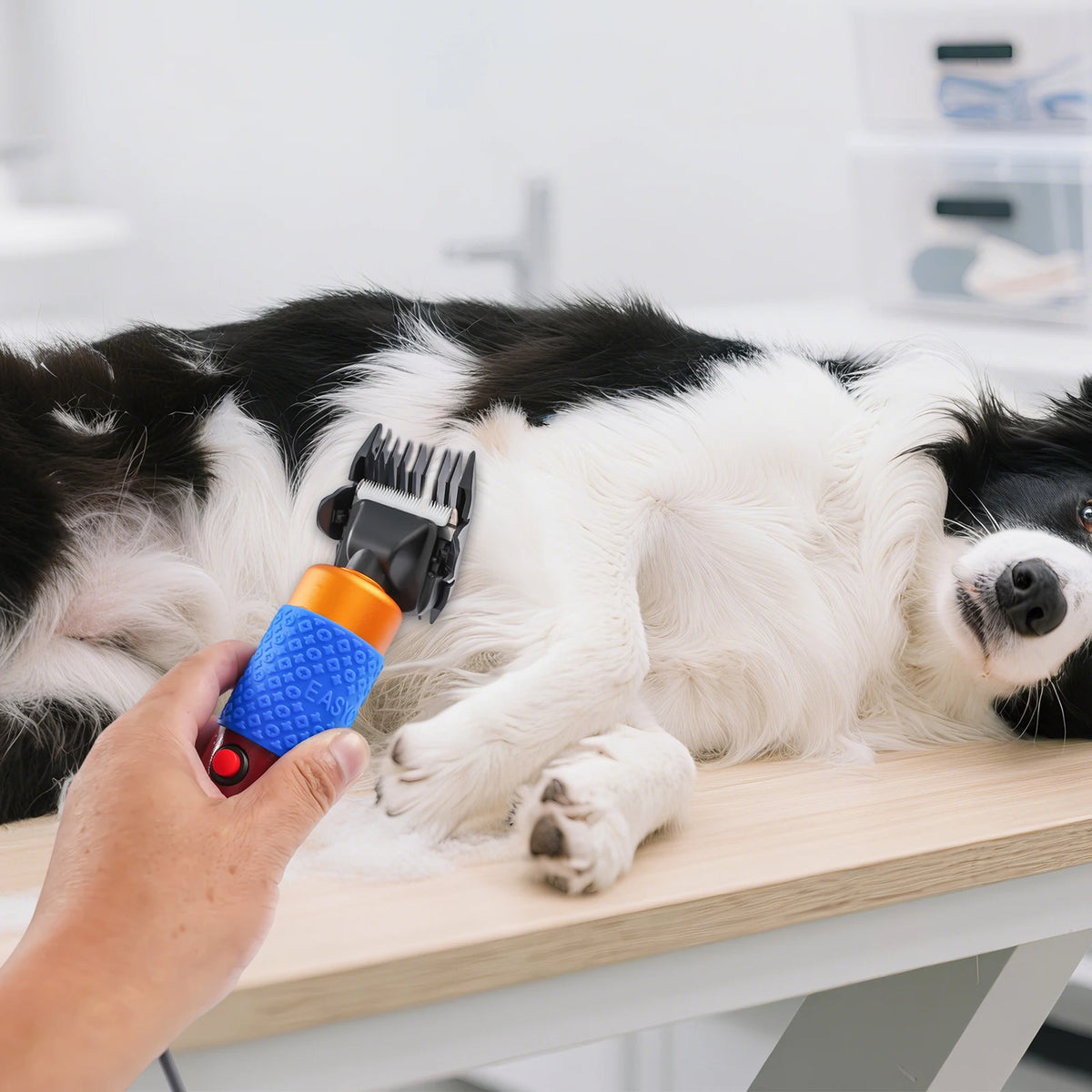 Electric Animal Shearing Clipper for Sheep Goats and Pets
