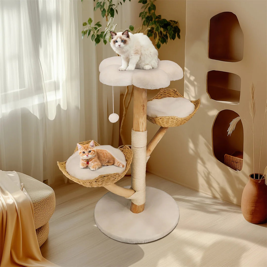 BINGOPAW Modern Wood Cat Climbing Tree With Scratching Post