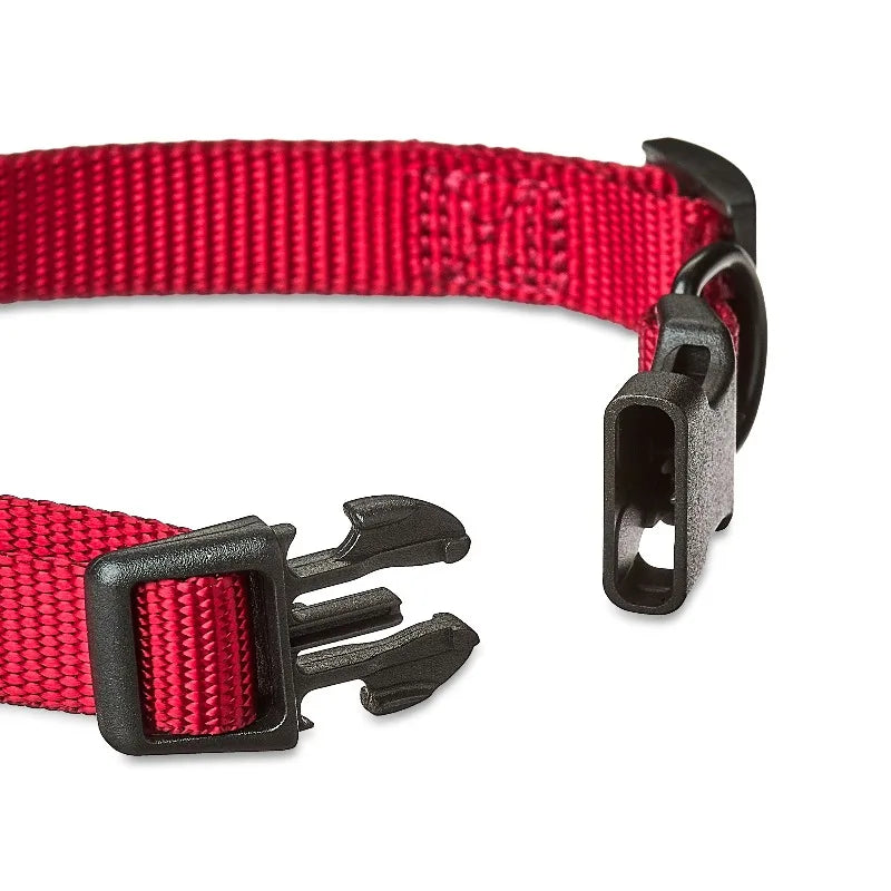 Adjustable Polyester Dog Collar For Reliable Everyday Wear