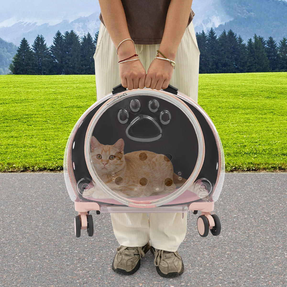 Transparent Pet Carrier Trolley With Four Wheels And Retractable Handle