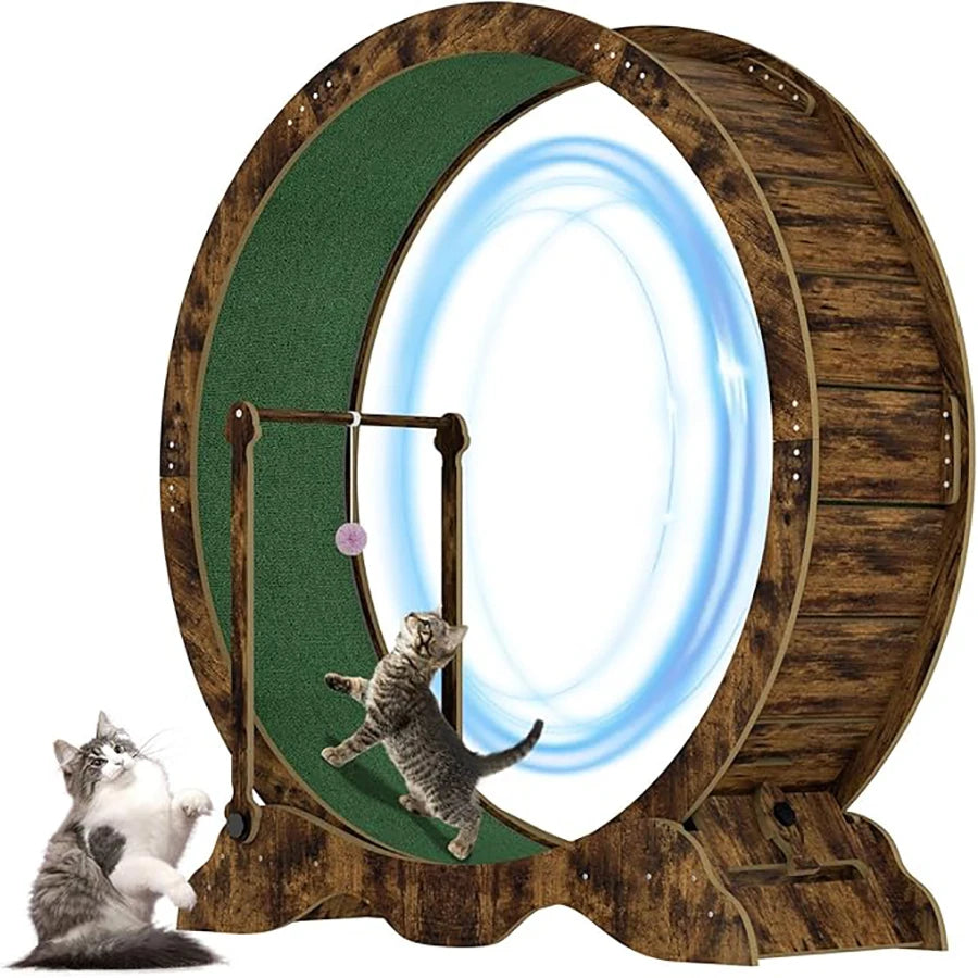 Indoor Cat Exercise Wheel With Detachable Carpeted Running Track