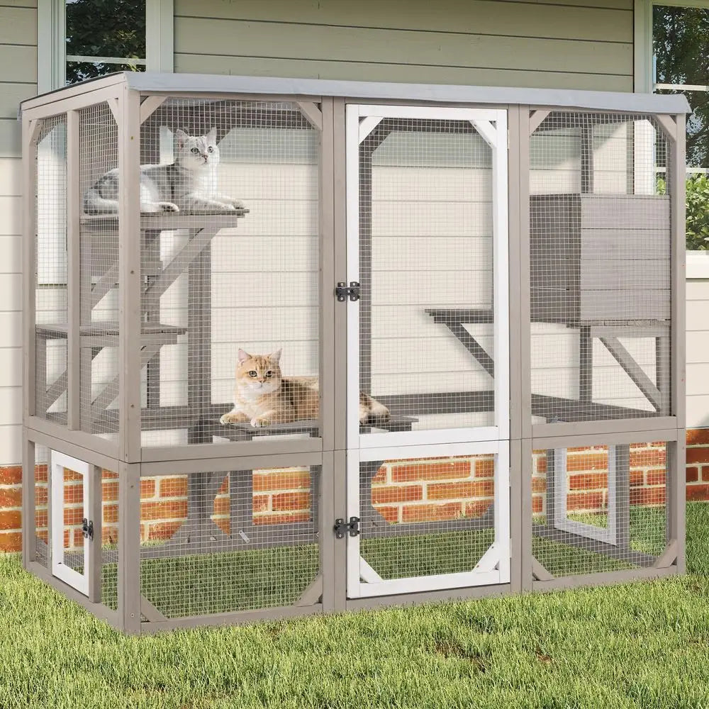 Outdoor Cat Catio Enclosure With Multiple Platforms And Resting Boxes