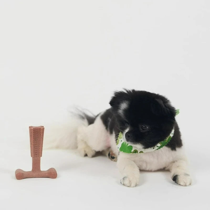 T Bone Dog Chew Toy for Aggressive Chewers and Puppies