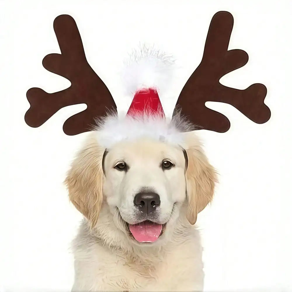 Halloween Ghost Pet Cape And Reindeer Antlers Headband Set