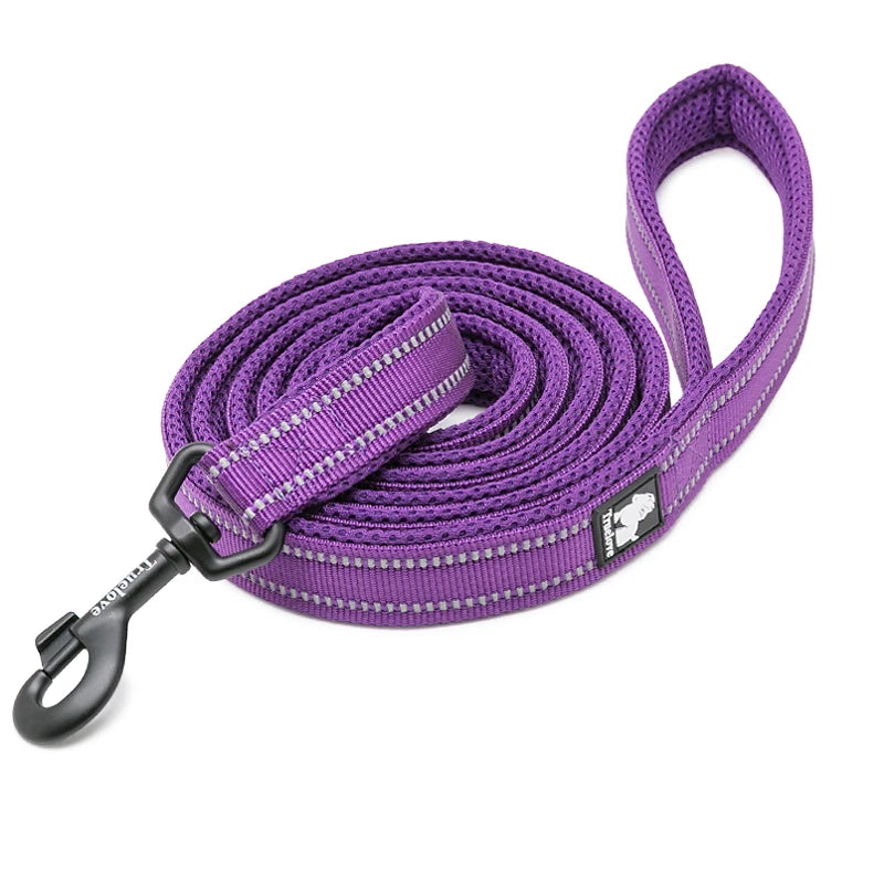 Winhyepet Reflective Padded Handle Dog Training Leash