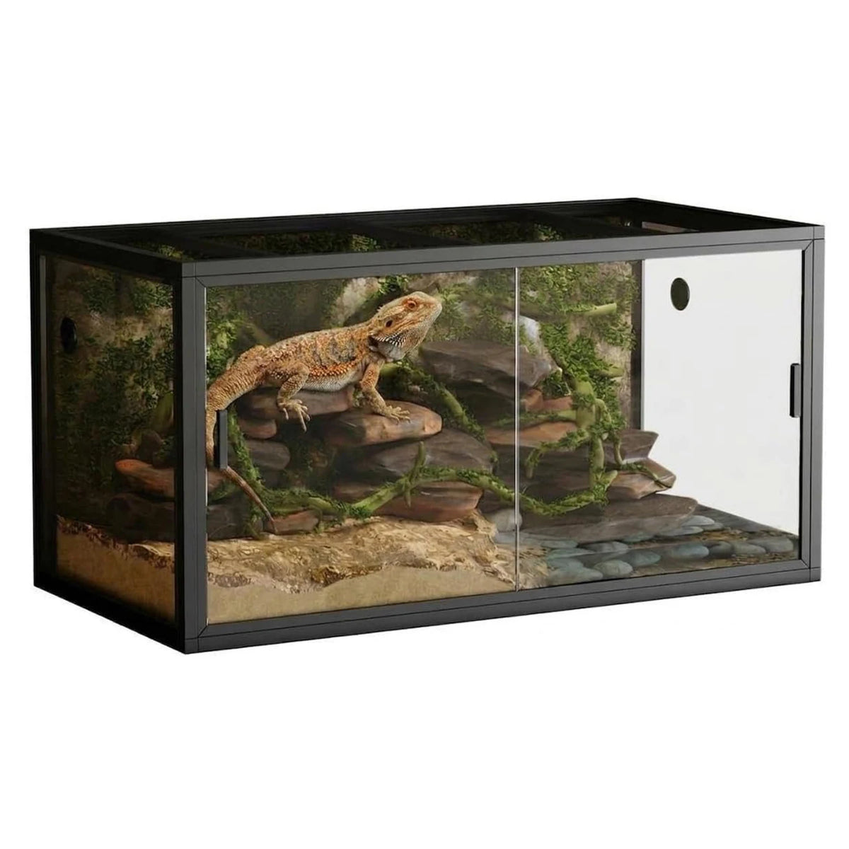 HiMISS Reptile Terrarium With Sliding Glass Doors And Screen Ventilation
