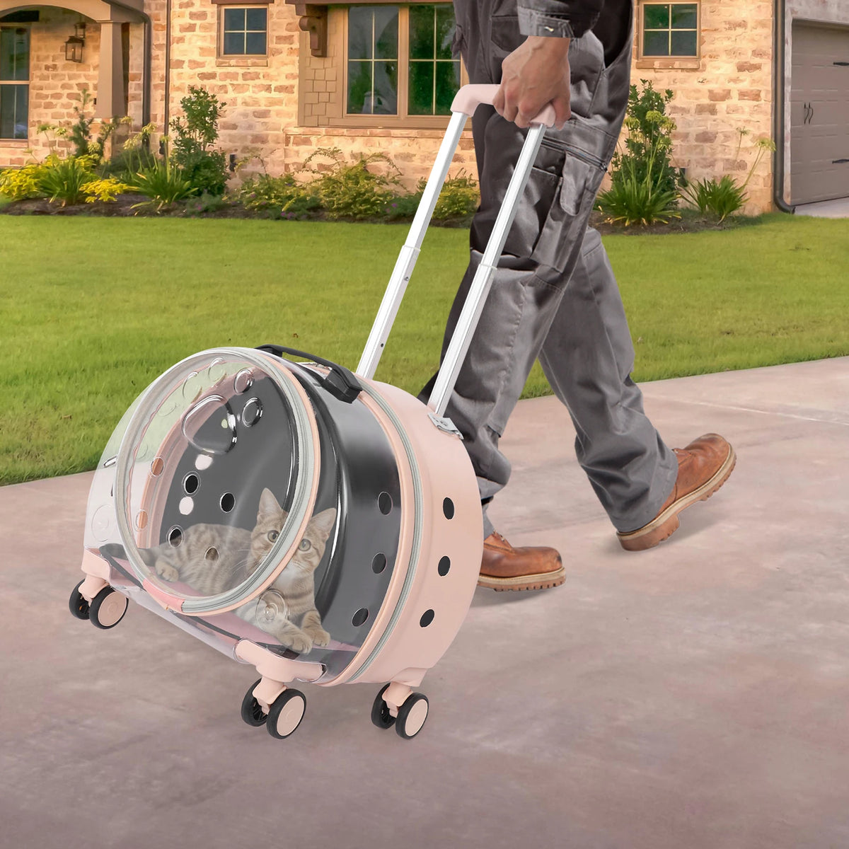 Transparent Pet Carrier Trolley With Four Wheels And Retractable Handle