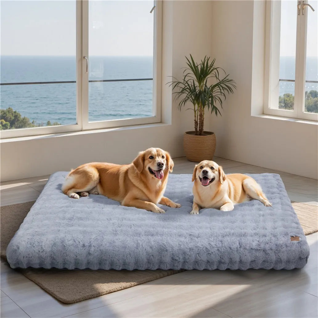 BORWART Ultra Plush Washable Dog Bed With Removable Soft Cushion