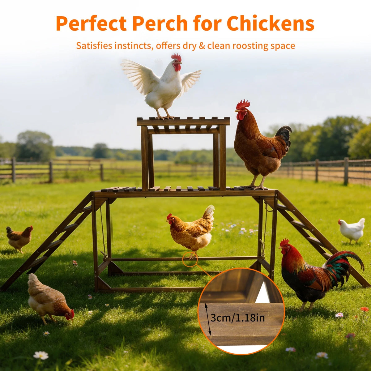 Bingopaw Wooden Chicken Perch Swing Roosting Ladder