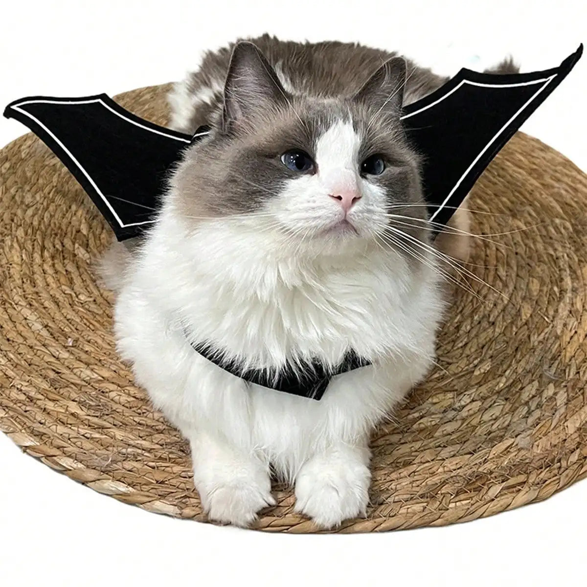 Halloween Bat Wings Costume For Cats And Dogs Party Accessory
