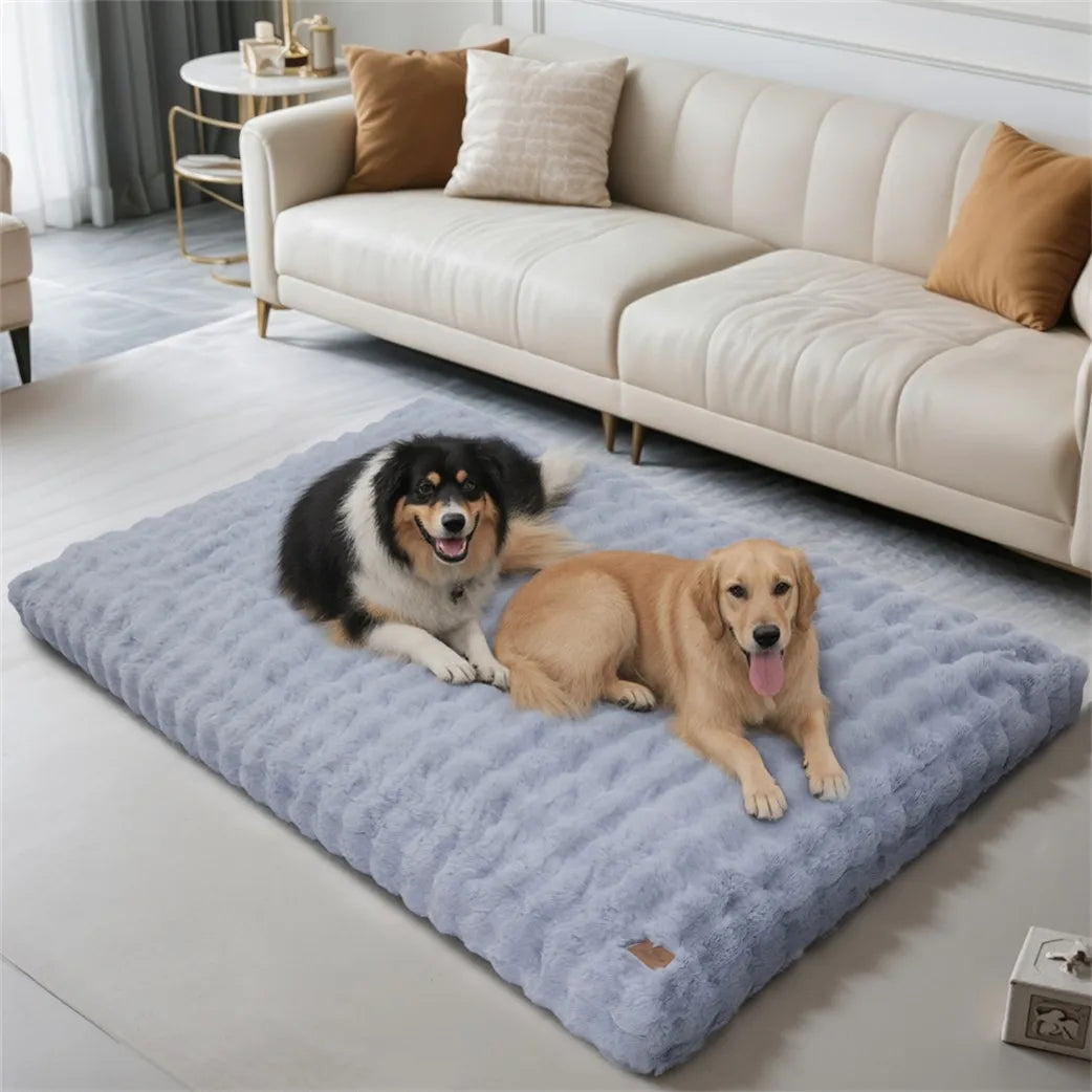 BORWART Ultra Plush Washable Dog Bed With Removable Soft Cushion