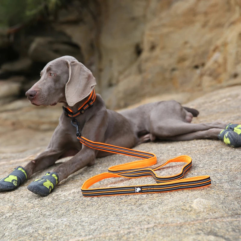 Winhyepet Reflective Padded Handle Dog Training Leash