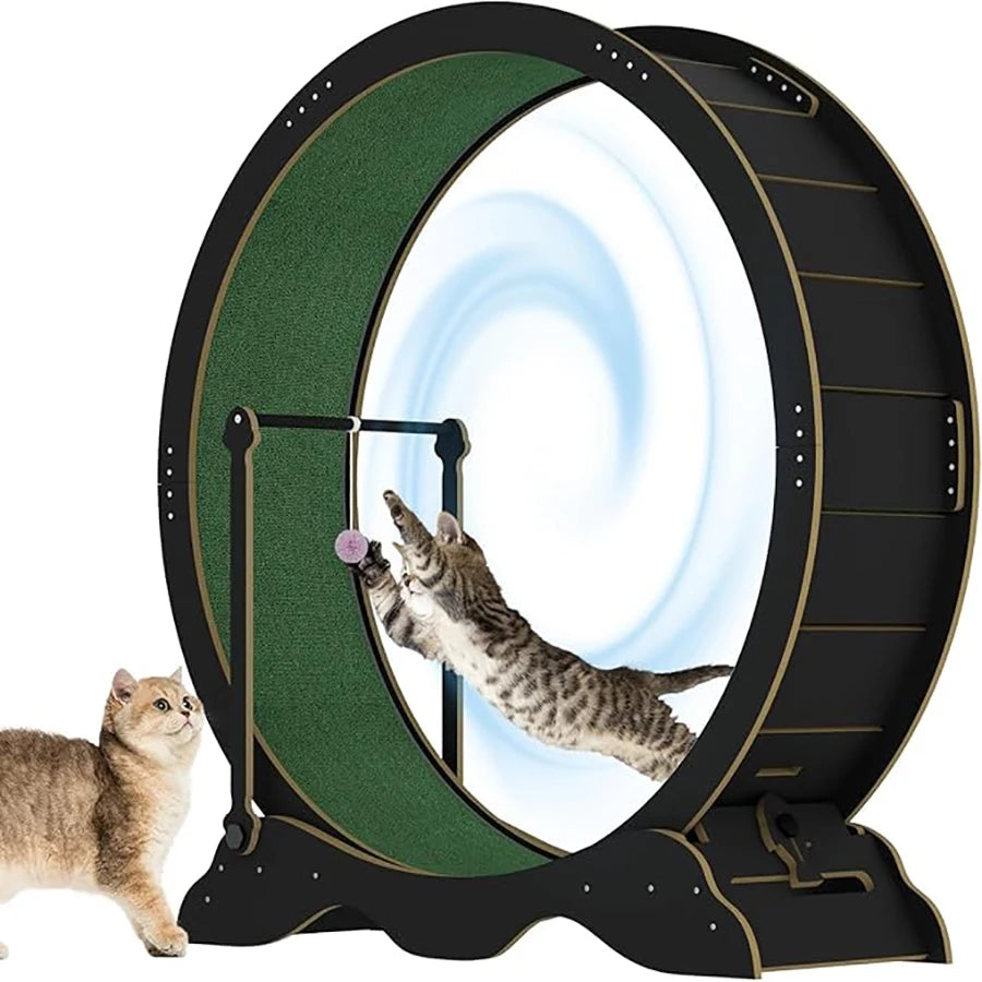 Indoor Cat Exercise Wheel With Detachable Carpeted Running Track