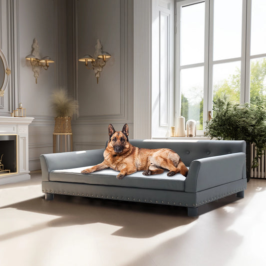 BINGOPAW Durable Waterproof Leather Elevated Dog Sofa Bed for Comfort