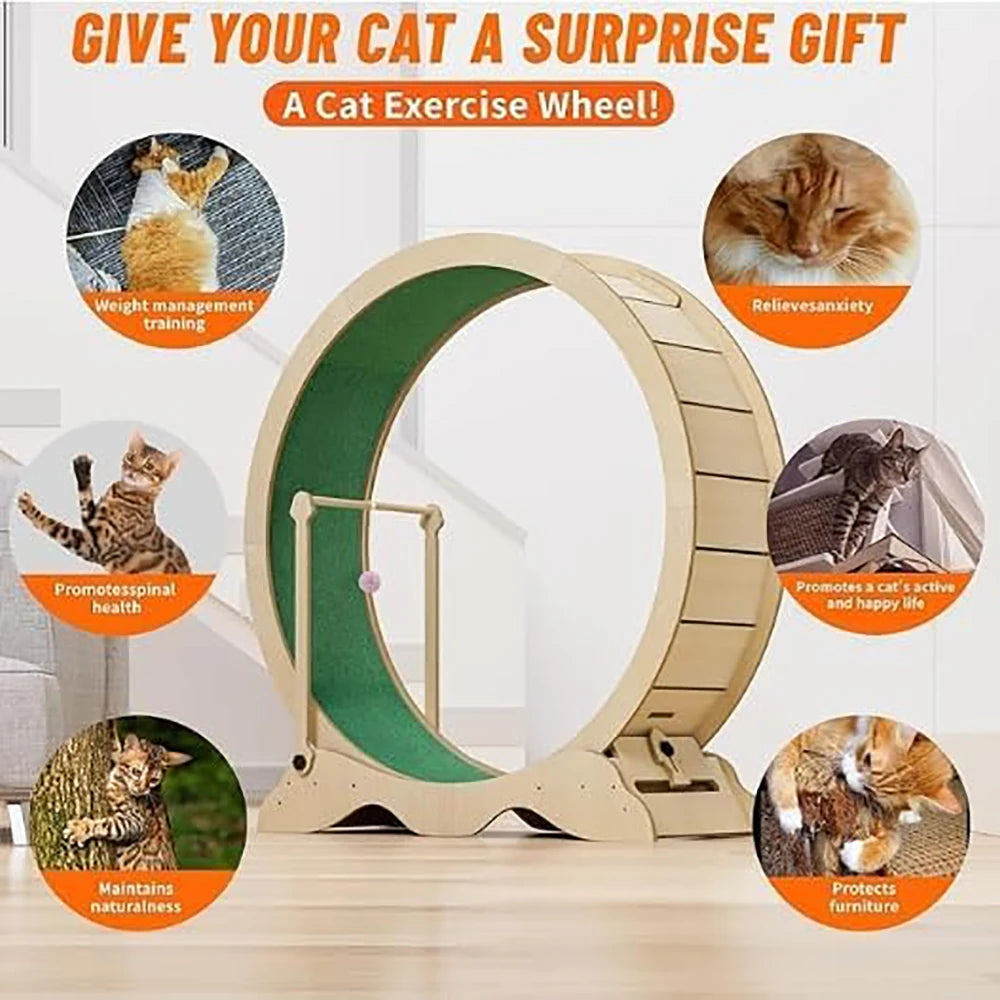 Indoor Cat Exercise Wheel With Detachable Carpeted Running Track