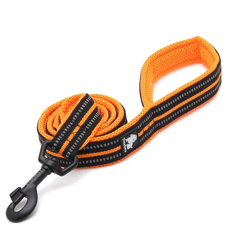 Winhyepet Reflective Padded Handle Dog Training Leash