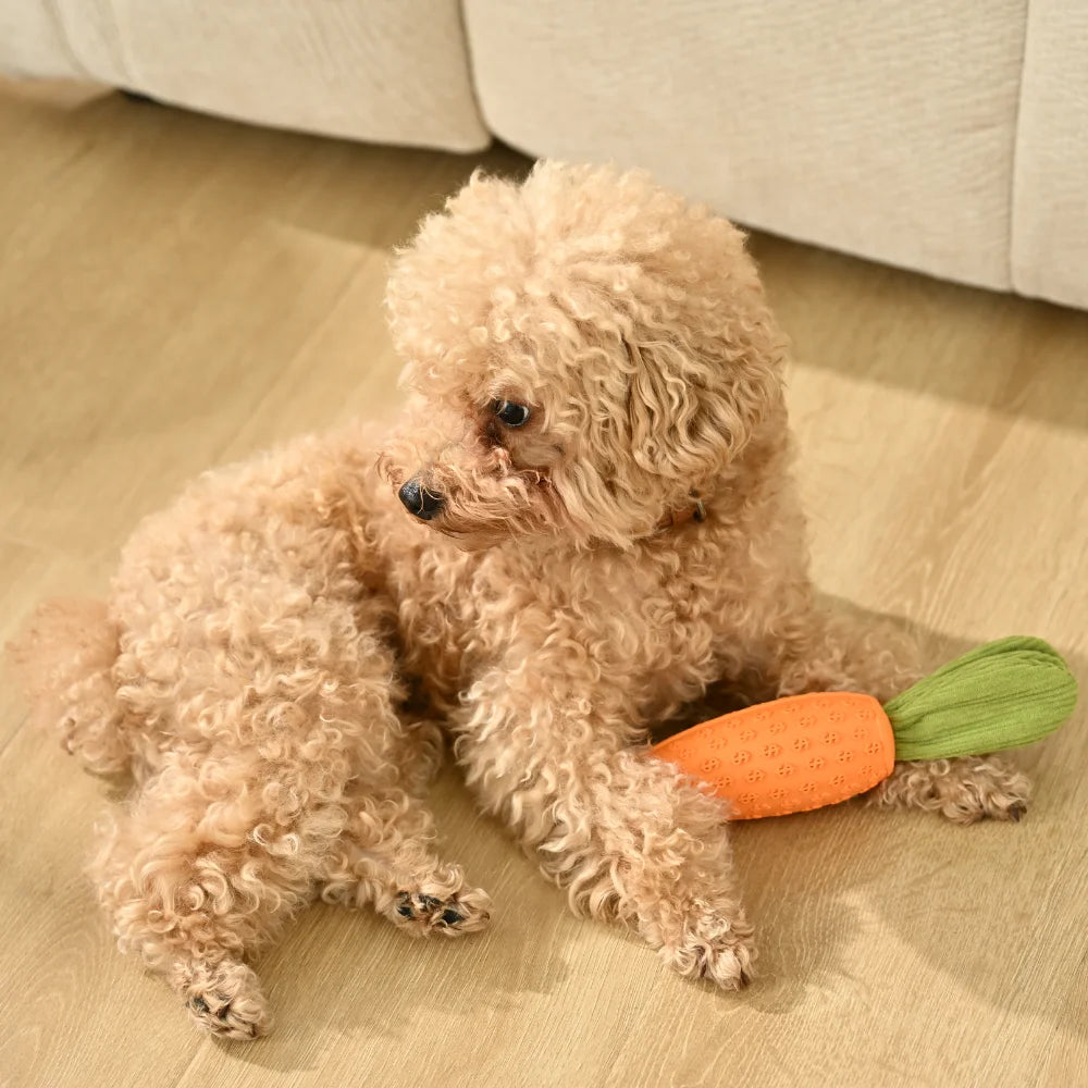 Squeaky Dog Chew Toy Toothbrush Dental Cleaner Interactive