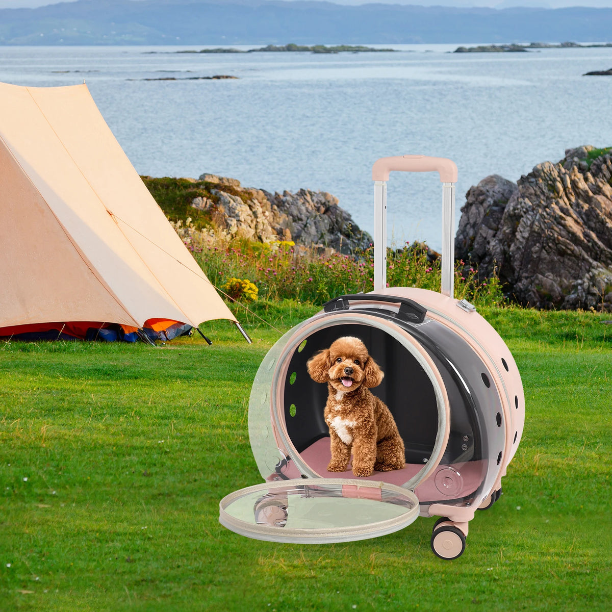 Transparent Pet Carrier Trolley With Four Wheels And Retractable Handle