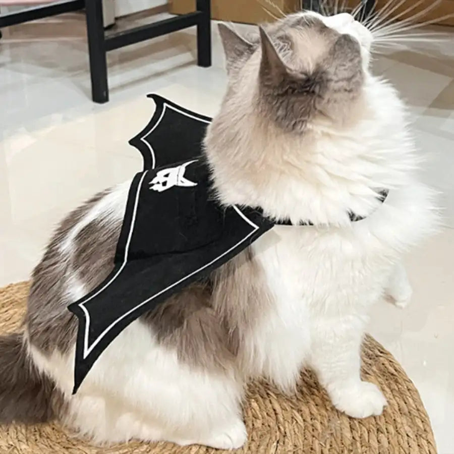 Halloween Bat Wings Costume For Cats And Dogs Party Accessory
