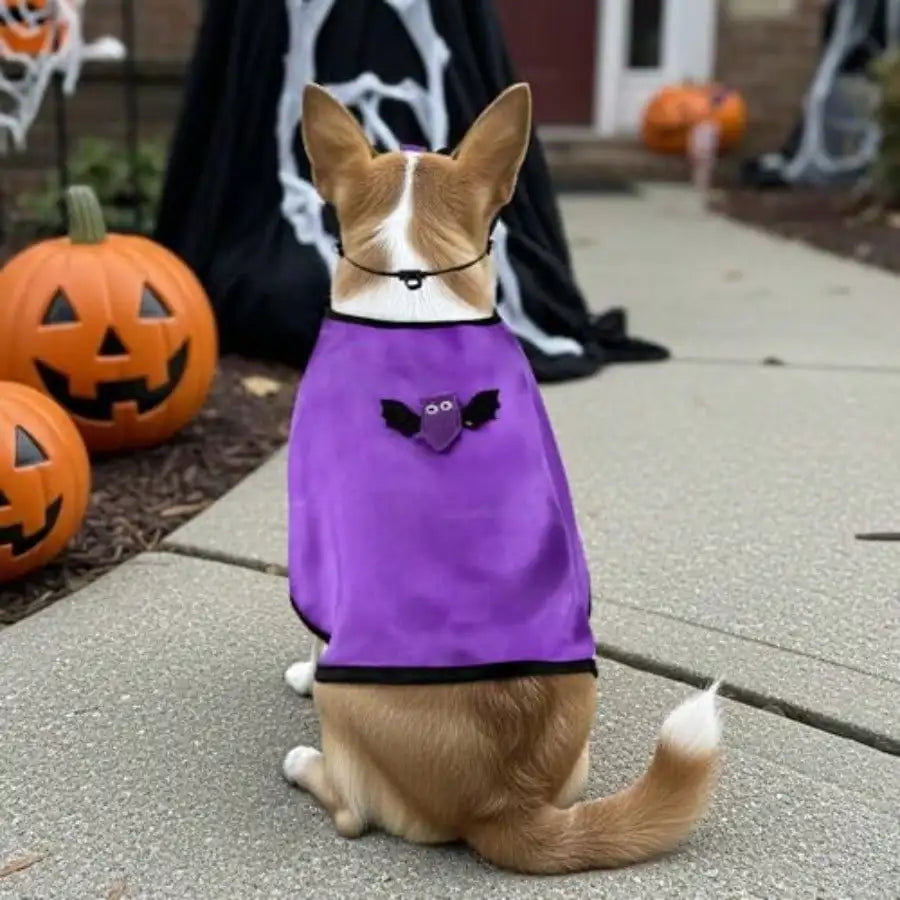 Pet Vampire Bat Cape Halloween Costume For Dogs And Cats