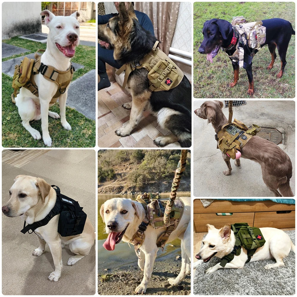 PETRAVEL Tactical Dog Harness Leash Set for Training and Walking