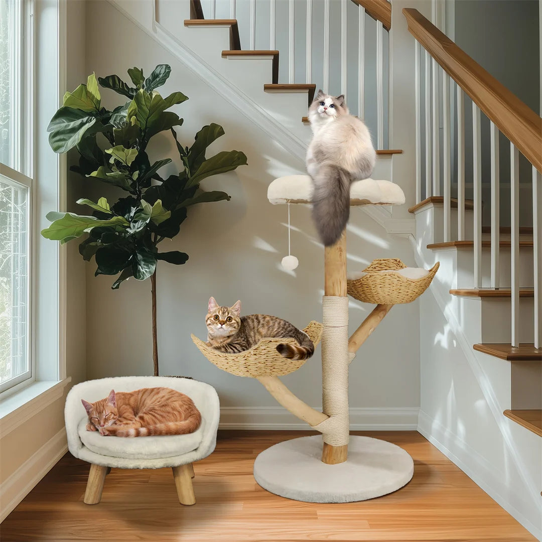 BINGOPAW Modern Wood Cat Climbing Tree With Scratching Post